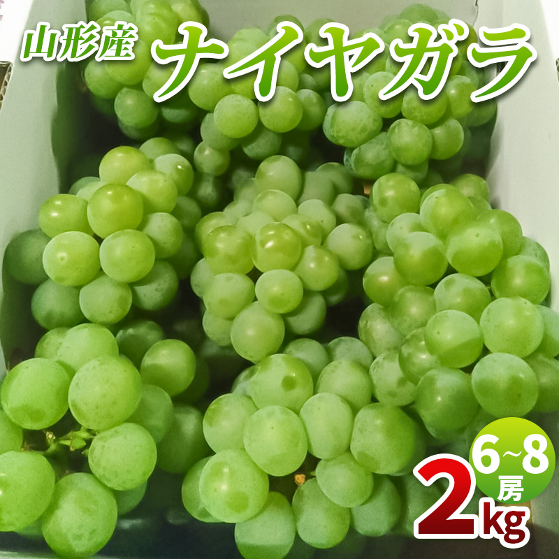 山形産 ナイヤガラ2kg 秀品(6～8房)【令和8年産先行予約】FS25-078