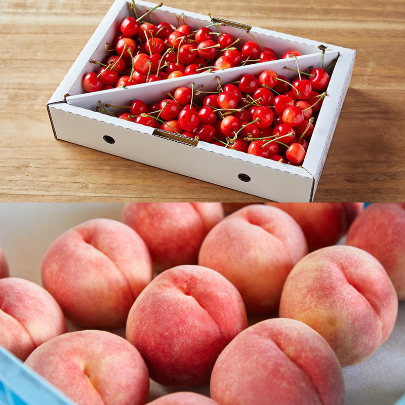 【定期便5回】毎月届く！果物王国山形のフルーツ 【令和8年産先行予約】FS25-082