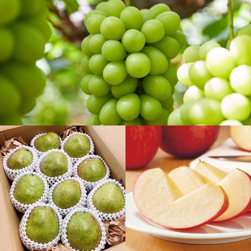 【定期便5回】毎月届く！果物王国山形のフルーツ 【令和8年産先行予約】FS25-082