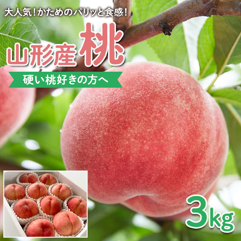 【硬い桃好きの方へ】大人気！かためのパリッと食感！山形産 もも 3kg【令和8年産先行予約】FS25-084