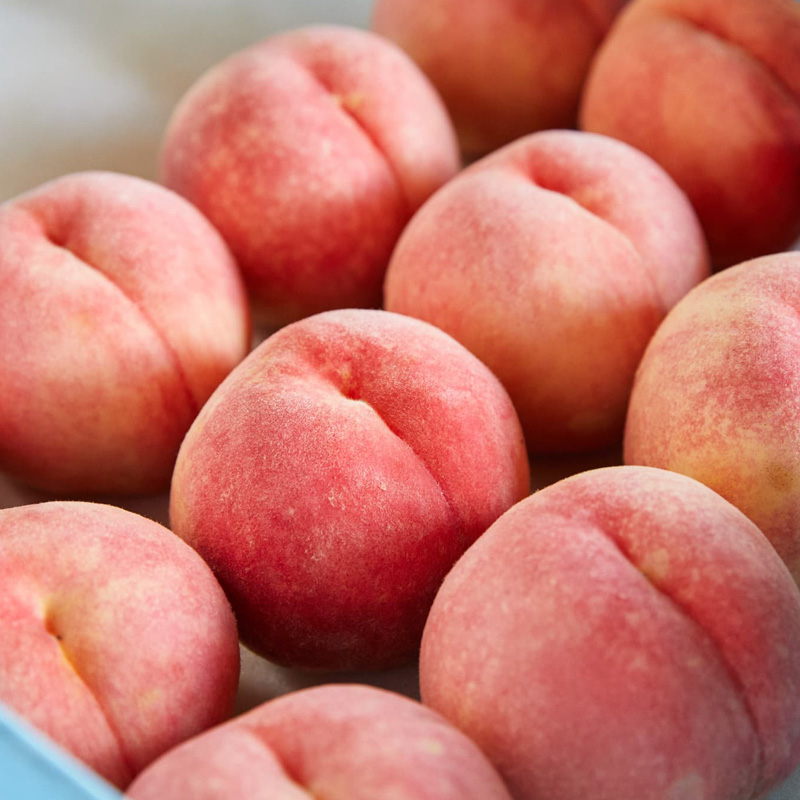 【硬い桃好きの方へ】大人気！かためのパリッと食感！山形産 もも 3kg【令和8年産先行予約】FS25-084