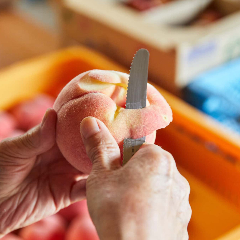 【硬い桃好きの方へ】大人気！かためのパリッと食感！山形産 もも 3kg【令和8年産先行予約】FS25-084