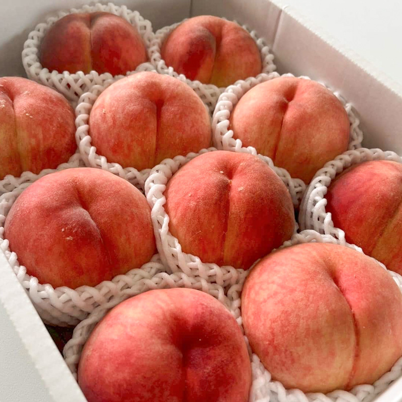 【硬い桃好きの方へ】大人気！かためのパリッと食感！山形産 もも 3kg【令和8年産先行予約】FS25-084