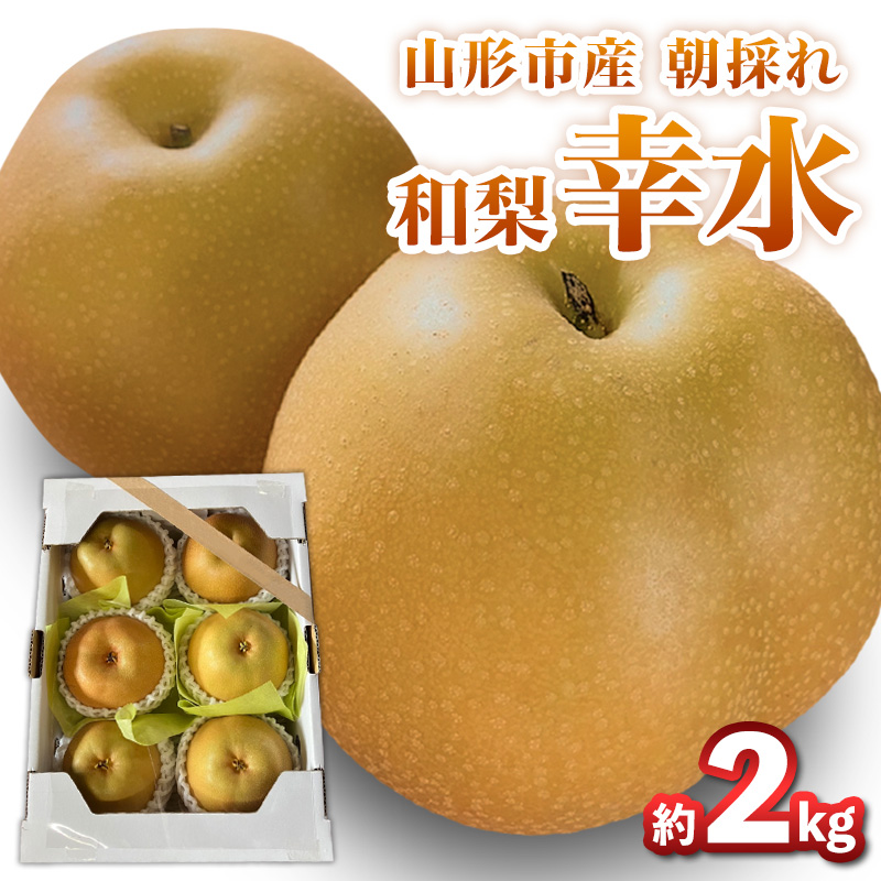 山形市産朝採れ【和梨(幸水)】 6～7玉 約2kg【令和8年産先行予約】FS25-093