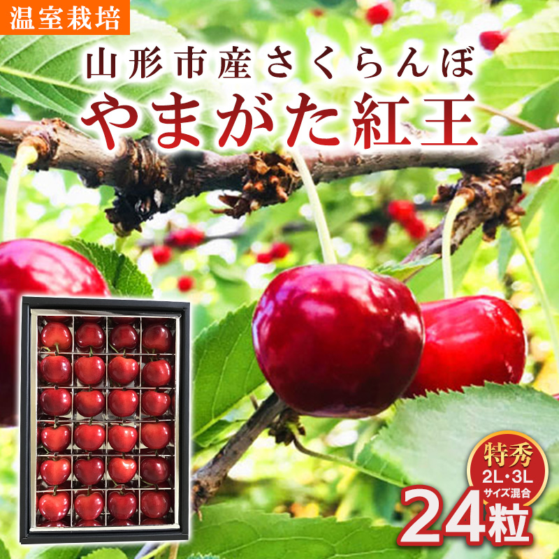 山形市産 さくらんぼ 温室栽培【やまがた紅王 特秀品】2L・3L混合 24粒【令和8年産先行予約】FS25-094