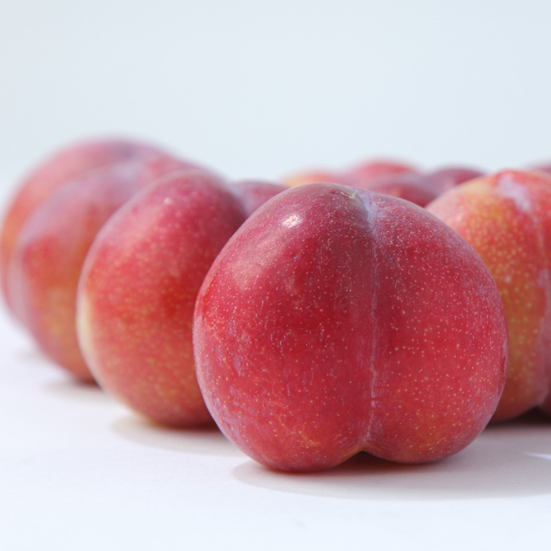 ★フルーツ王国山形★山形プラム(秋姫)1.2kg すもも【令和8年産先行予約】FS25-097