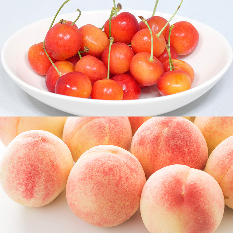 【定期便5回】やまがた旬果実の定期便【令和8年産先行予約】FS25-091