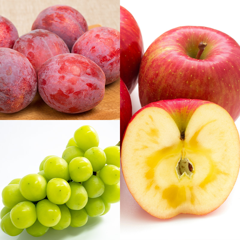 【定期便5回】やまがた旬果実の定期便【令和8年産先行予約】FS25-091