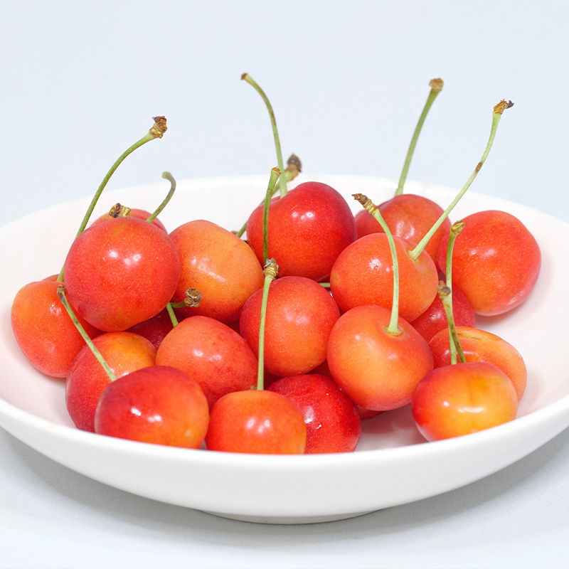 【定期便3回】やまがた旬果実の定期便【令和8年産先行予約】FS25-092