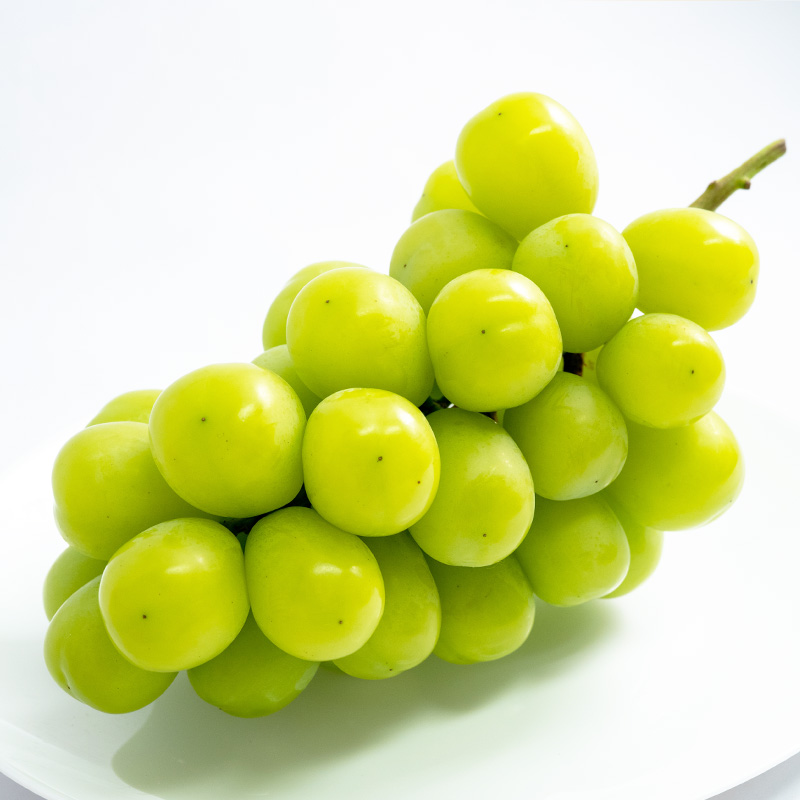 【定期便3回】やまがた旬果実の定期便【令和8年産先行予約】FS25-092