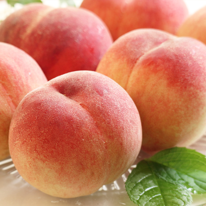 【定期便3回】好きですやまがた！夏から始まる果実のおもてなし 3選【令和8年産先行予約】FS25-099