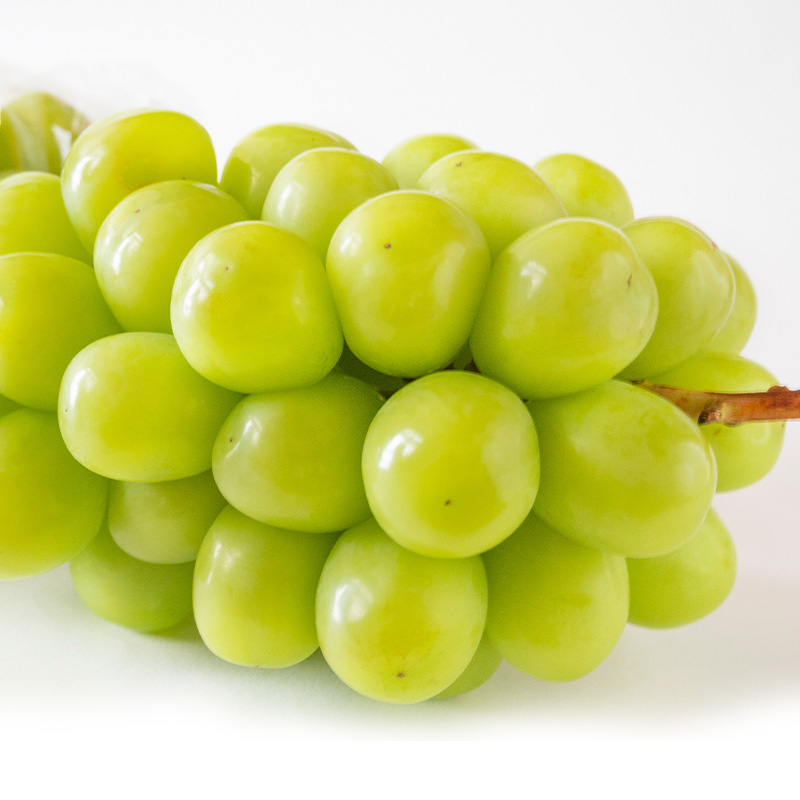 【定期便3回】好きですやまがた！夏から始まる果実のおもてなし 3選【令和8年産先行予約】FS25-099