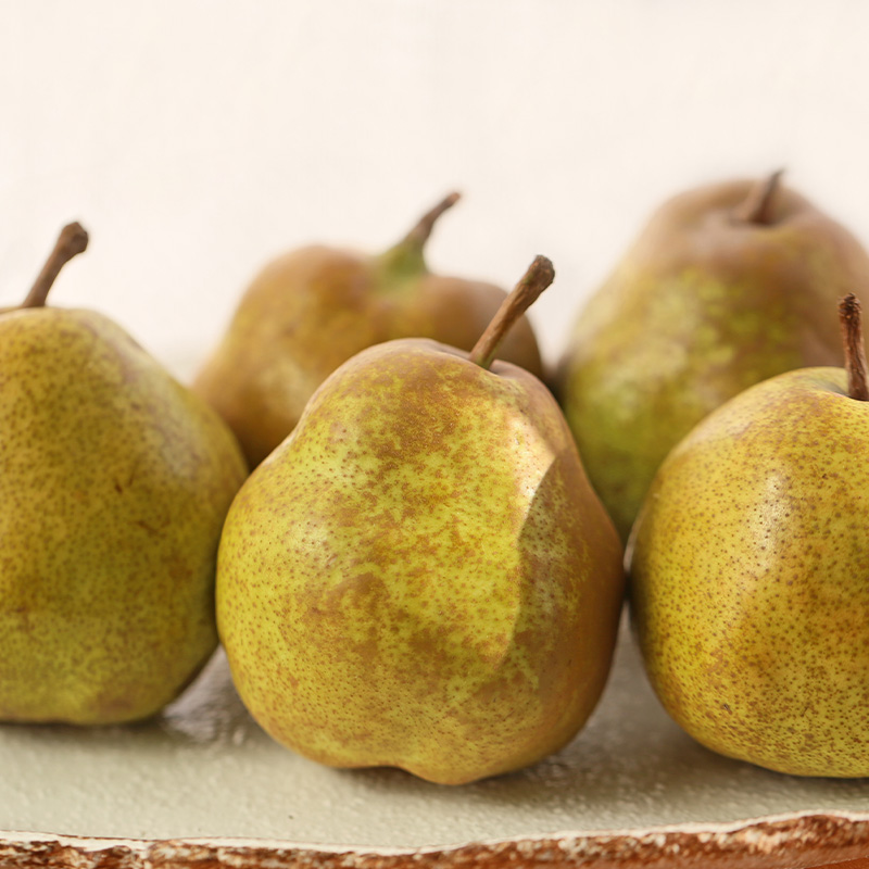 【定期便3回】好きですやまがた！夏から始まる果実のおもてなし 3選【令和8年産先行予約】FS25-099