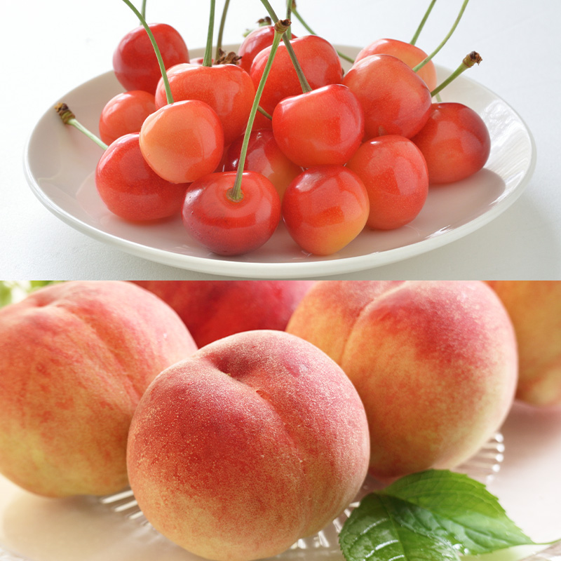 【定期便5回】好きですやまがた！初夏から始まる果実のおもてなし 5選【令和8年産先行予約】FS25-100