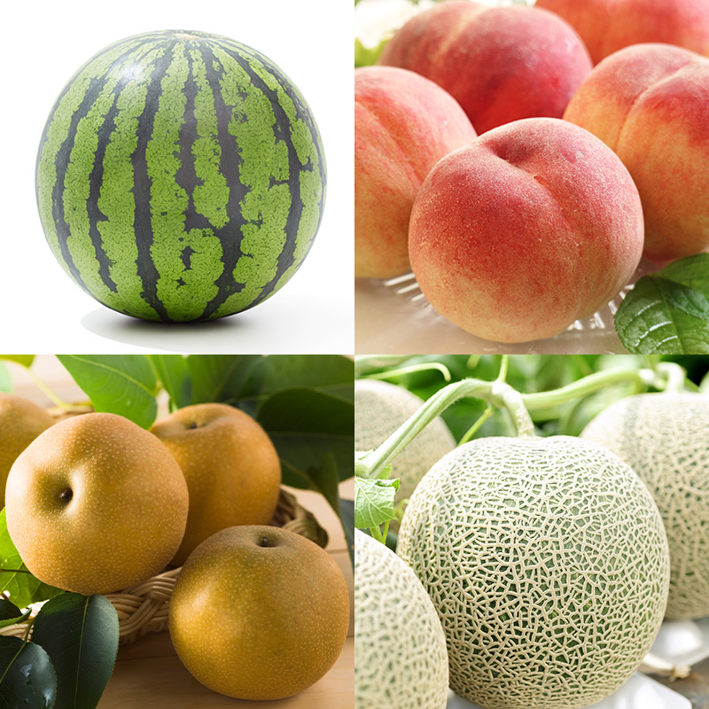 【定期便10回】好きですやまがた まるごと！果実のおもてなし 10選【令和8年産先行予約】FS25-101