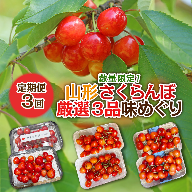 【定期便3回】数量限定！山形さくらんぼ厳選３品味めぐり【令和8年産先行予約】FS25-102