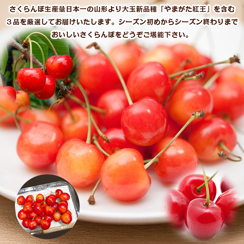 【定期便3回】数量限定！山形さくらんぼ厳選３品味めぐり【令和8年産先行予約】FS25-102