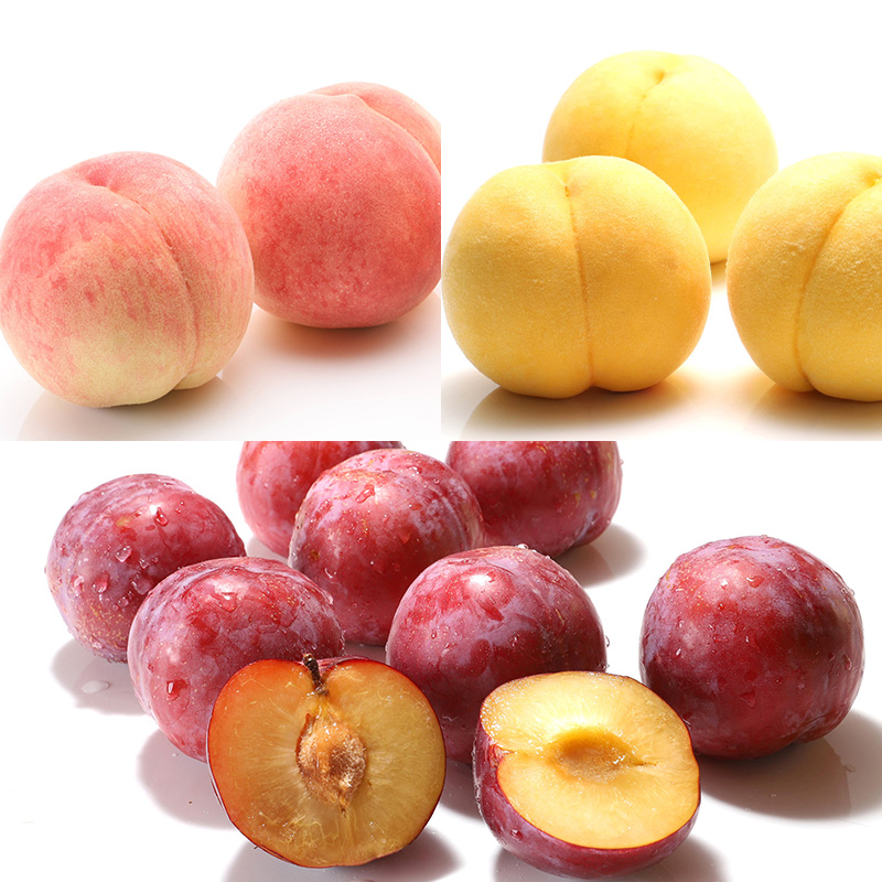 【定期便8回】人気フルーツ満喫便 【令和8年産先行予約】FS25-615