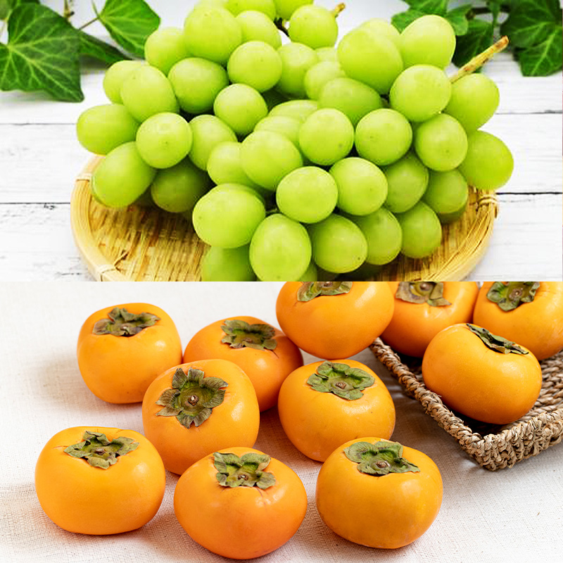 【定期便8回】人気フルーツ満喫便 【令和8年産先行予約】FS25-615