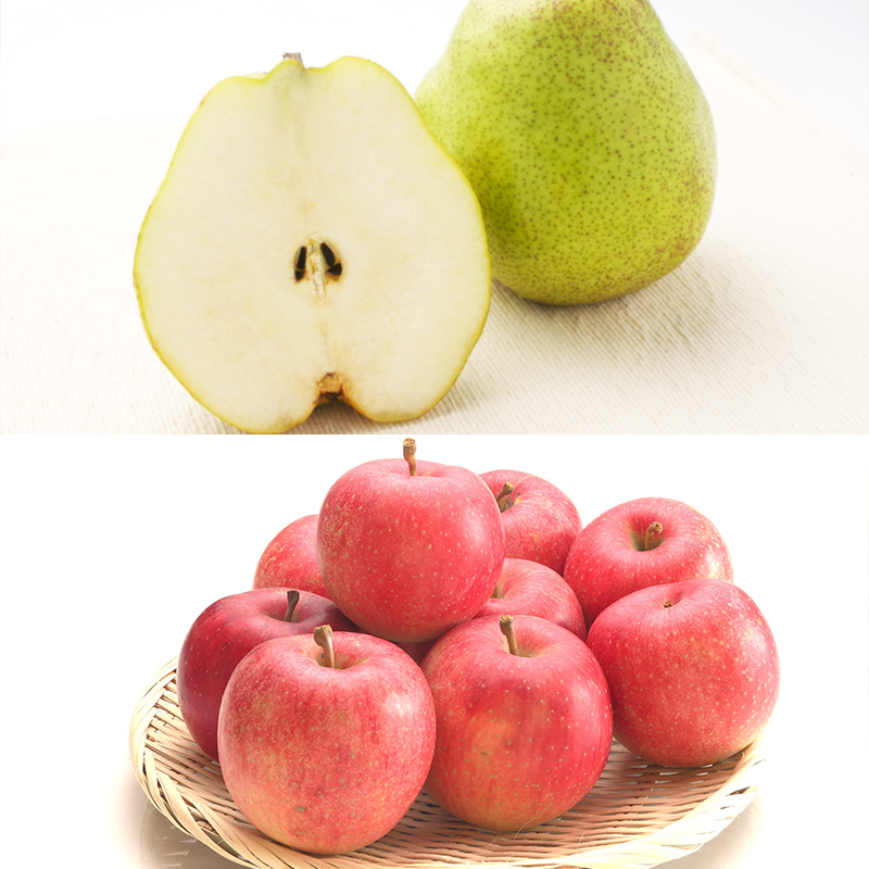 【定期便8回】人気フルーツ満喫便 【令和8年産先行予約】FS25-615