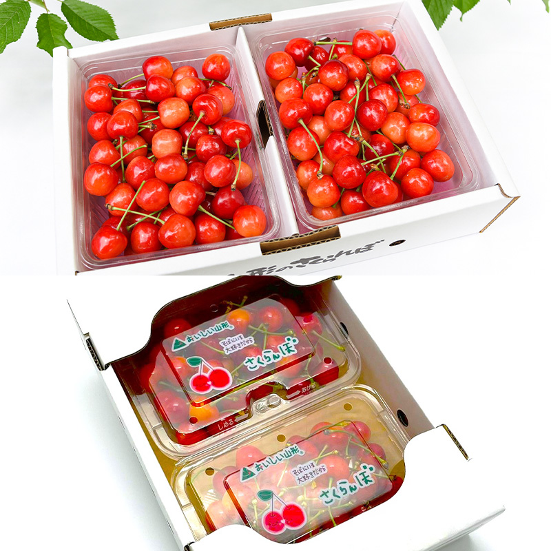 【定期便5回】スペシャル宝箱便 【令和8年産先行予約】FS25-616