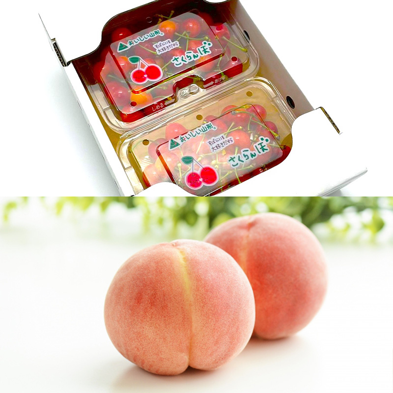 【定期便6回】至高の味わい便 極み 【令和8年産先行予約】FS25-617