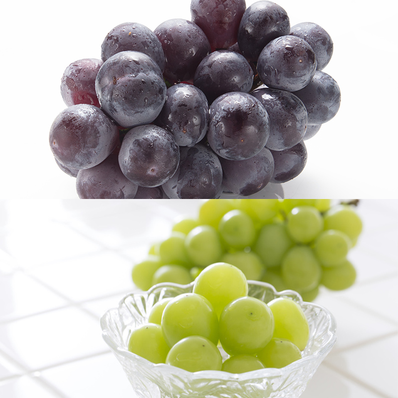 【定期便6回】至高の味わい便 極み 【令和8年産先行予約】FS25-617