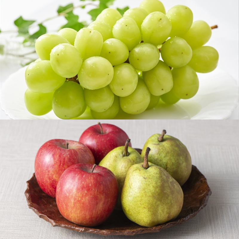 【定期便5回】さくらんぼ(紅秀峰)から始まるフルーツの幸せ便 【令和8年産先行予約】FS25-626