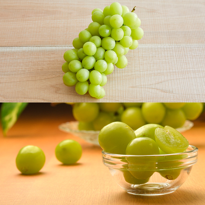 【定期便5回】山形市☆冬のフルーツ定期便 【令和8年産先行予約】FU21-240