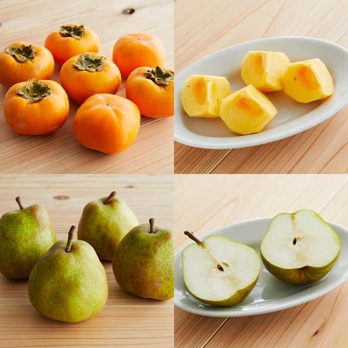 【定期便5回】山形市☆冬のフルーツ定期便 【令和8年産先行予約】FU21-240