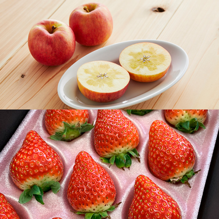 【定期便5回】山形市☆冬のフルーツ定期便 【令和8年産先行予約】FU21-240