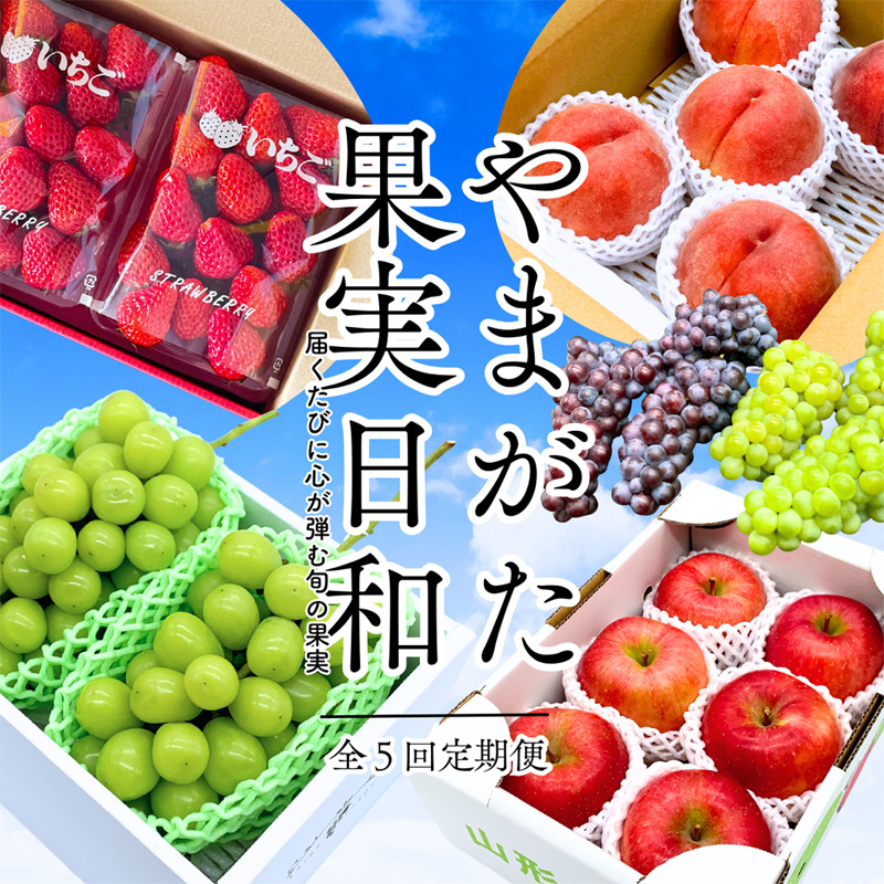 【定期便5回】やまがた果実日和定期便 今日も"おいしい日"。届くたびに心が弾む旬の果実【令和8年産先行予約】FS25-085