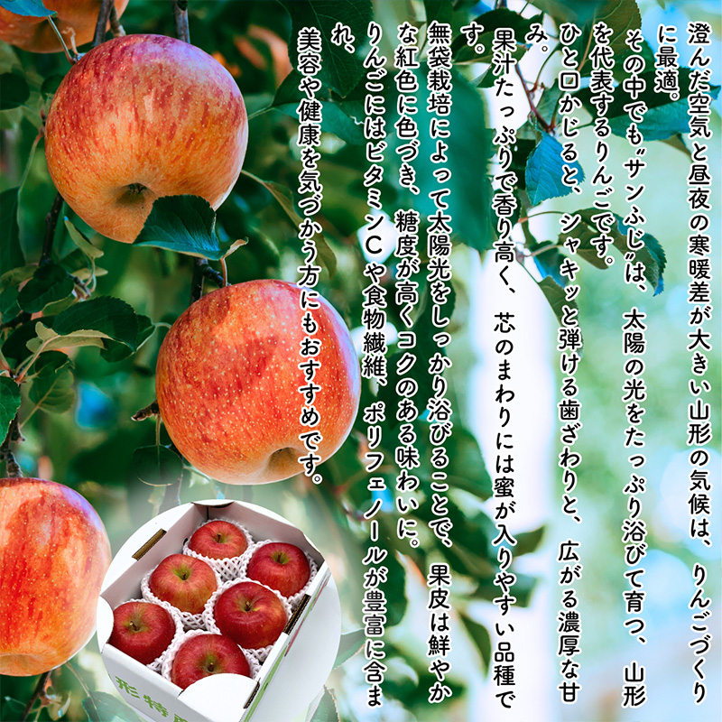 【定期便5回】やまがた果実日和定期便 今日も