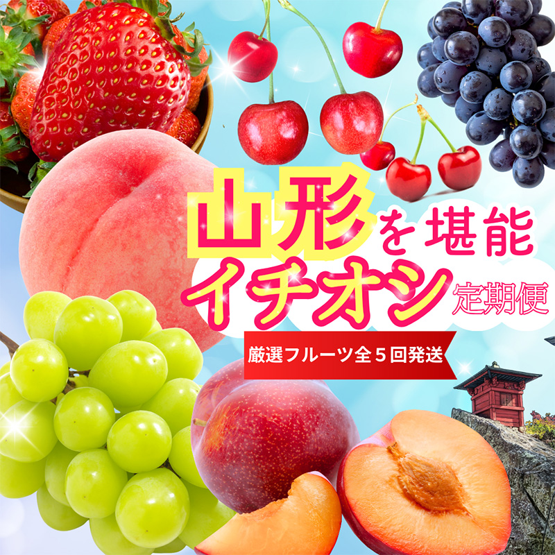 【定期便5回】やまがたを堪能！イチオシ定期便【令和8年産先行予約】FS25-086