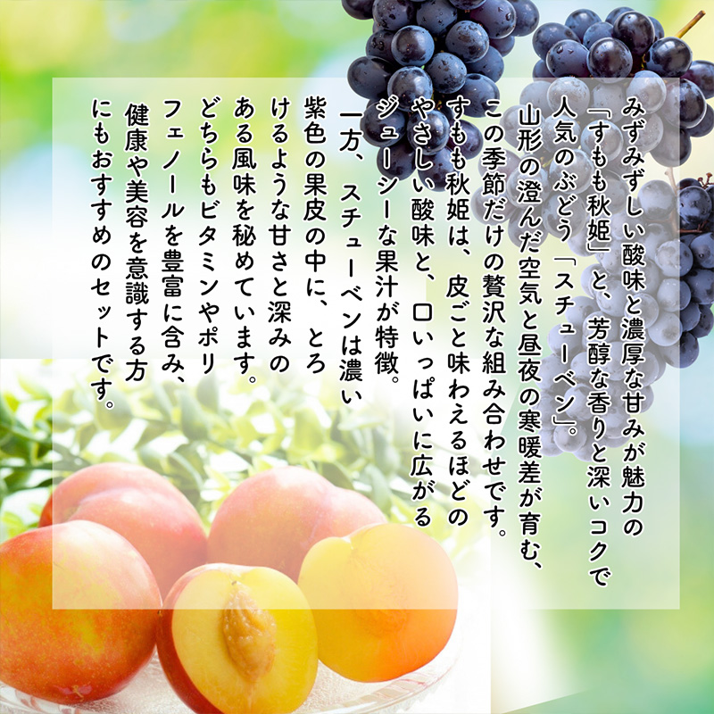 【定期便5回】やまがたを堪能！イチオシ定期便【令和8年産先行予約】FS25-086