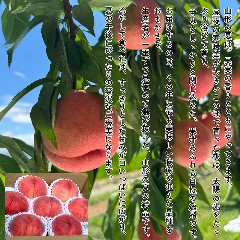 やまがた果実めぐり —白桃と秋姫— 約3kg 秀品【令和8年産先行予約】FS25-090