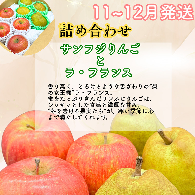 【定期便3回】山形果匠【旬のよりどり定期便】全3回 1回で2種味わえる楽しみ【令和8年産先行予約】FS25-088