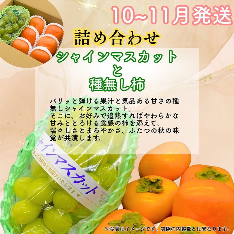 【定期便3回】山形果匠【旬のよりどり定期便】A 全3回 1回で2種味わえる楽しみ【令和8年産先行予約】FS25-089