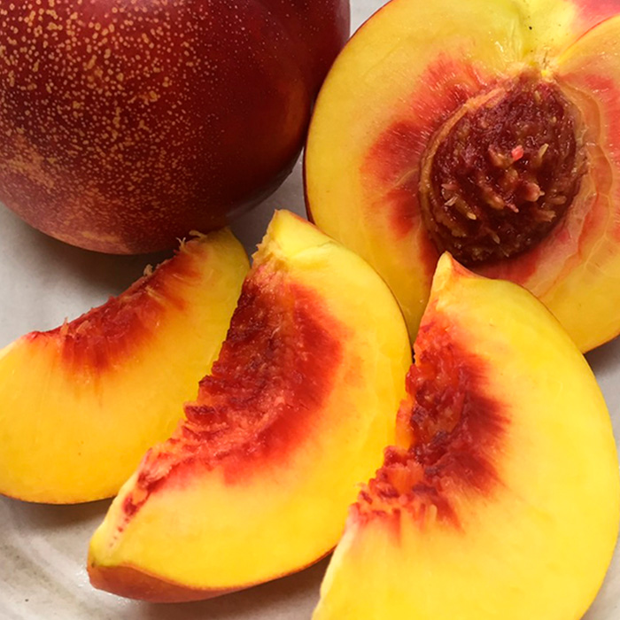 山形のネクタリン(スイートビーナス)約2kg 【令和8年産先行予約】FS24-568