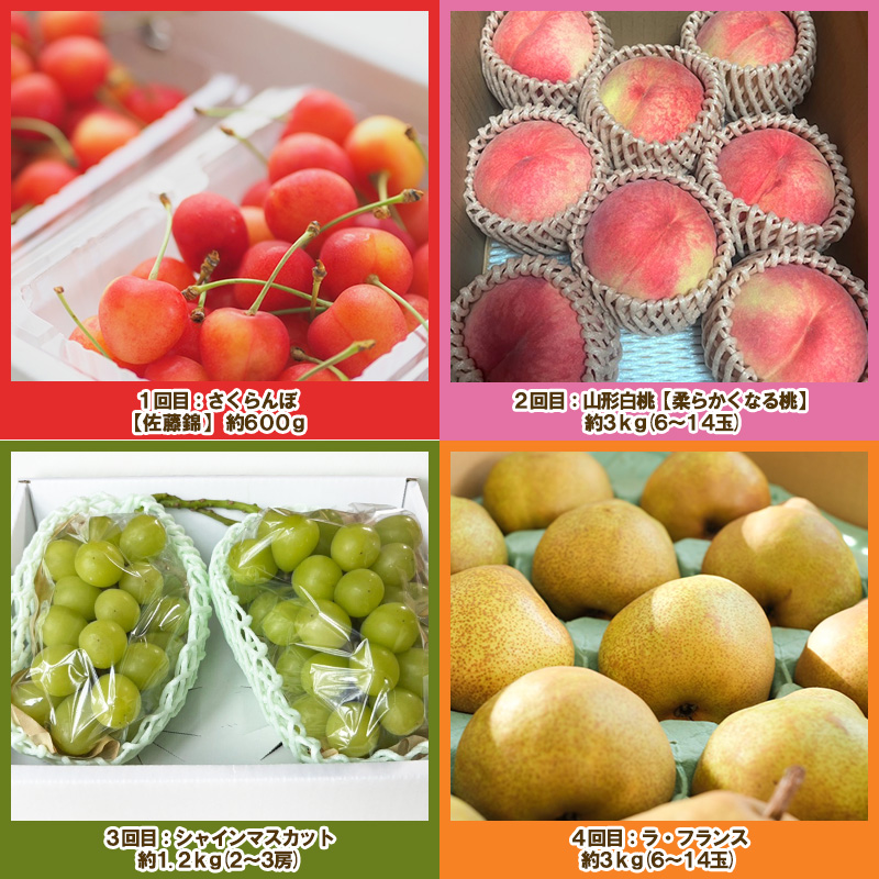 【定期便4回】ノノハナフルーツ 山形人気のフルーツ直送便 TOP４【令和8年産先行予約】FS25-070