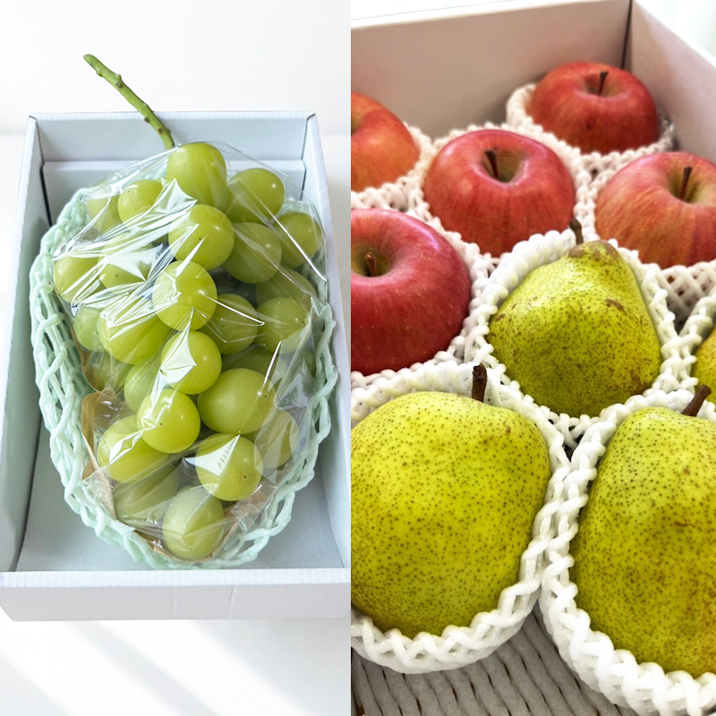 【定期便4回】ノノハナフルーツ 山形市で人気の果物５品種食べきり定期便【令和8年産先行予約】FS25-077