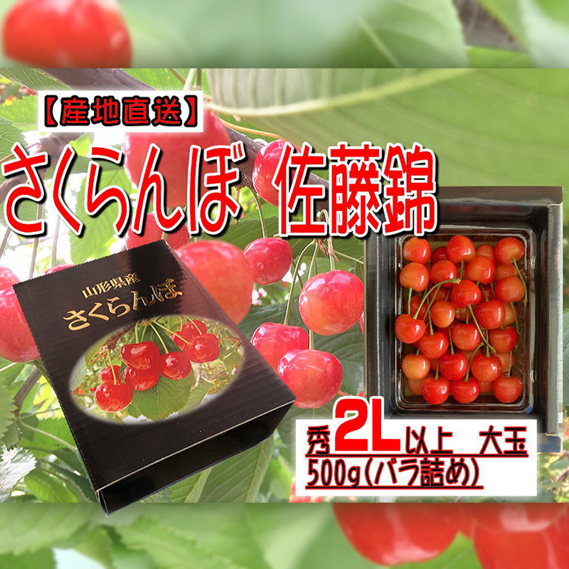 [産地直送] 大玉さくらんぼ 佐藤錦 2L以上 大玉 500g(バラ詰め)【令和8年産先行予約】FU22-122
