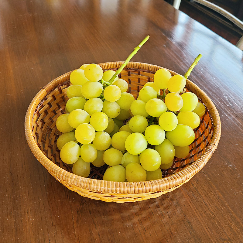 「黄金のシャインマスカット」2kg 山形市 本沢 こんのぶどう園【令和8年産先行予約】FS25-103 くだもの 果物 フルーツ 山形 山形県 山形市 2026年産