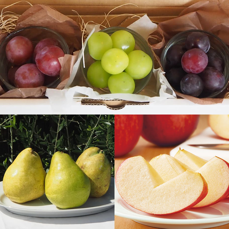 【定期便6回】★食べきりシリーズ★やまもりやまがたプレミアム【令和8年産先行予約】FS25-105 くだもの 果物 フルーツ 山形 山形県 山形市 2026年産