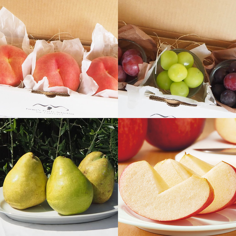 【定期便7回】冬から巡る山形うまい物！贅沢MINIプチ便【令和8年産先行予約】FS25-106 くだもの 果物 フルーツ 山形 山形県 山形市 2026年産