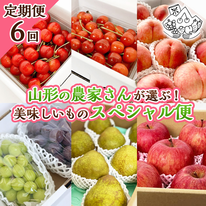 【定期便6回】山形の農家さんが選ぶ！美味しいものスペシャル便【令和8年産先行予約】FS25-107 くだもの 果物 フルーツ 山形 山形県 山形市 2026年産