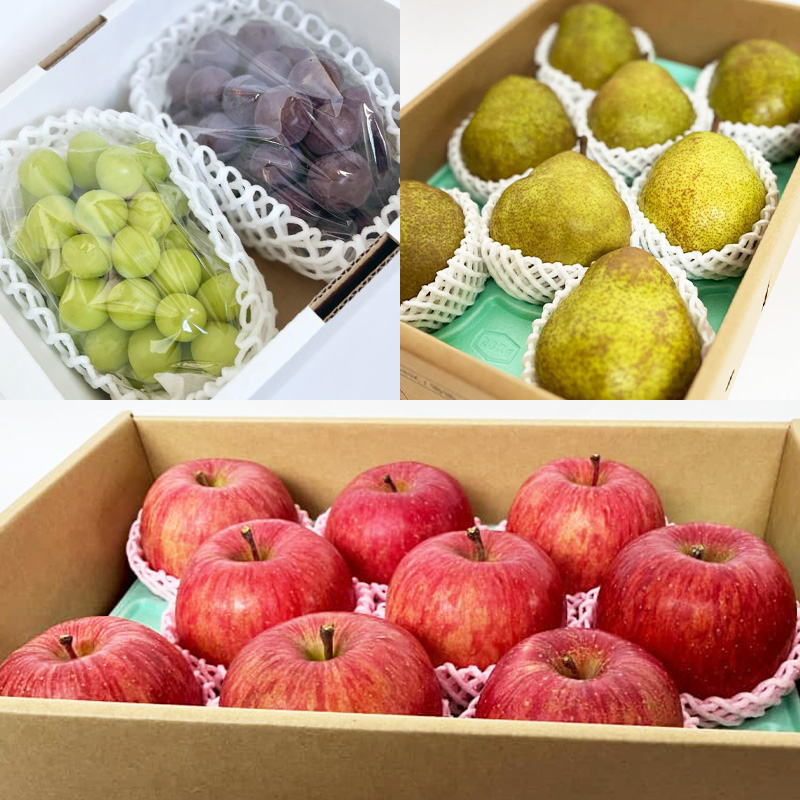 【定期便6回】山形の農家さんが選ぶ！美味しいものスペシャル便【令和8年産先行予約】FS25-107 くだもの 果物 フルーツ 山形 山形県 山形市 2026年産