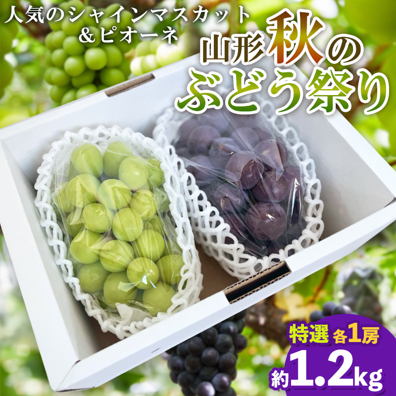 山形秋のぶどう祭り【シャインマスカット・ピオーネ 特選 2房】【令和8年産先行予約】FS25-108 くだもの 果物 フルーツ 山形 山形県 山形市 2026年産