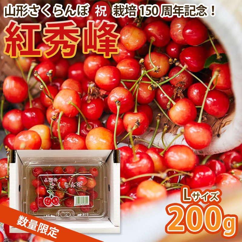 山形さくらんぼ (祝)栽培150周年記念！紅秀峰 200g L玉 数量限定！【令和8年産先行予約】FS25-109 くだもの 果物 フルーツ 山形 山形県 山形市 2026年産