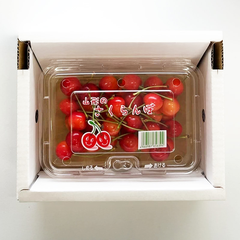 山形さくらんぼ (祝)栽培150周年記念！紅秀峰 200g L玉 数量限定！【令和8年産先行予約】FS25-109 くだもの 果物 フルーツ 山形 山形県 山形市 2026年産